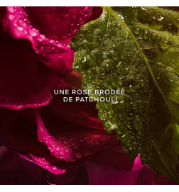 La Petite Robe Noire - Eau de Parfum Absolue La Petite Robe Noire - Eau de Parfum Absolue
